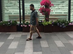-上海环球金融中心云端足球盛典