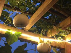 -中家鑫园温泉酒店鑫悦汤泉