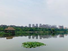 -前关湿地公园