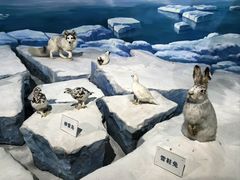 -陕西自然博物馆