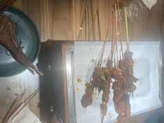 -不曾在把把烧•烧烤(莲坂磐基店)