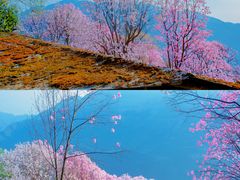 -九皇山景区