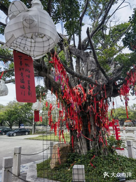 滨海公园图片