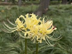 -白塘生态植物园