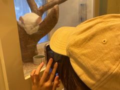 -龙猫仔乐园(惠福东路店)