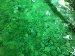 iphone_upload_pic-金方森林温泉