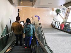 -上海交通大学医学院附属瑞金医院(总院)