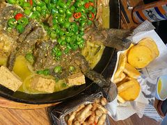 -老板恋上鱼(恒隆广场店)