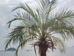 -观海轩餐厅(一线海景店)