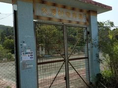 -南丫岛