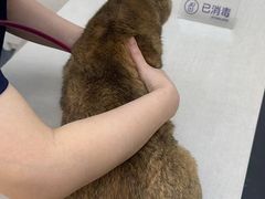 -拜鲁耶动物诊疗中心·宠家动物医院