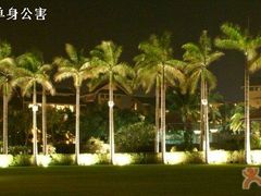 夜色椰林-三亚亚龙湾万豪度假酒店