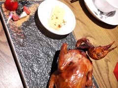 红烧鸽-大鸽饭(岗顶店)