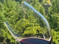 -张裕卡斯特酒庄