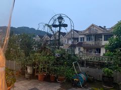 -先机泉水鸡汤(南山老君洞店)