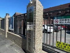 -中国农业大学动物医院