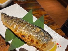 -鸟鹏烧鸟居酒屋(熙龙湾店)