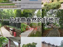 -天鹿湖森林公园