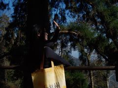 -天目山大树王景区