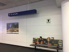 -奥黑尔国际机场