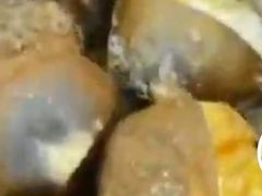 -粒上皇(淮河路步行街店)