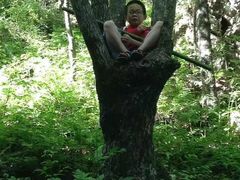 -洛阳白云山景区