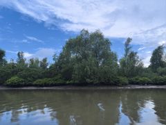 -东寨港红树林旅游区