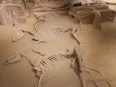 -洛阳周王城天子驾六博物馆