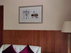 -深圳东部华侨城茵特拉根酒店