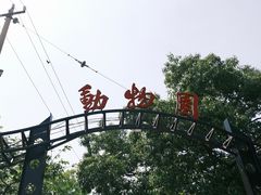 -青岛动物园