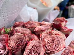 -循礼门鲜花花市(武汉循礼门店)