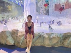 -芜湖新华联大白鲸海洋公园