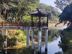 -火炉山森林公园