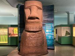 -美国自然历史博物馆