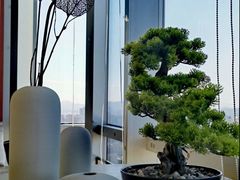 -云璟高空铁板烧·料理·生日宴·聚会团建(福田灯光秀店)