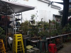 -江汉区姑嫂树菜市场