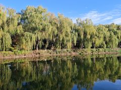 -西安汉城湖景区