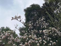 -成都杜甫草堂博物馆