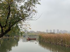 -前关湿地公园