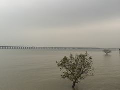 -宝安西湾红树林湿地公园