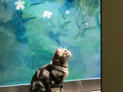 -咖法森林·咖啡  酒吧(天河店)