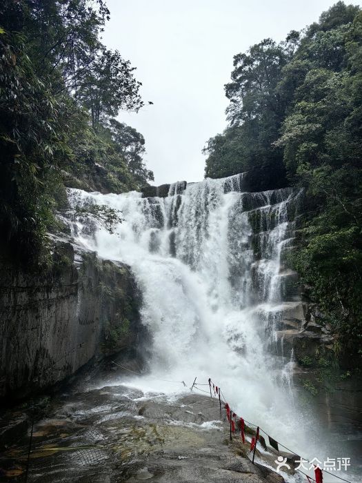 青龙大瀑布图片