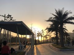 -白石龙音乐公园