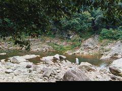 -燕子河大峡谷天坑仙境