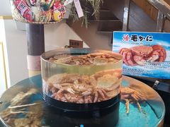 景观位-蟹道乐(道顿堀本店)