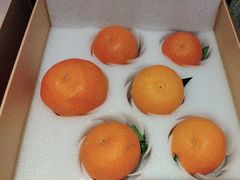 -天府掌柜(九眼桥店)