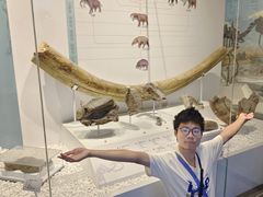 -国家自然博物馆