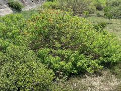 -北海金海湾红树林生态旅游区