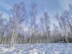 -北极村旅游风景区