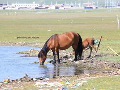 -青海湖国家重点风景名胜区